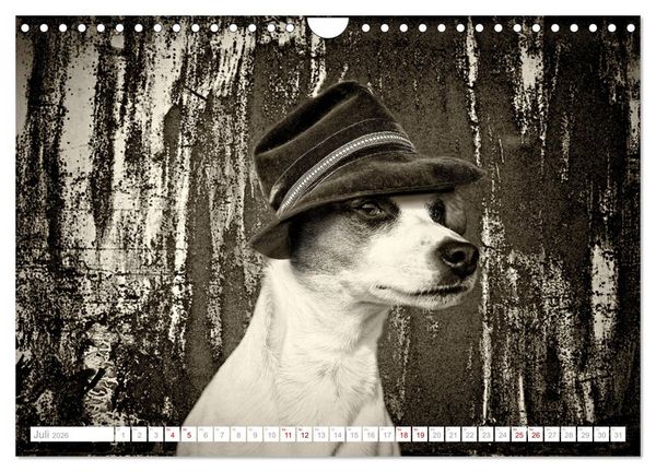 Produktbild: Hund tr&auml;gt Hut (Wandkalender 2026 DIN A4 quer), CALVENDO Monatskalender
