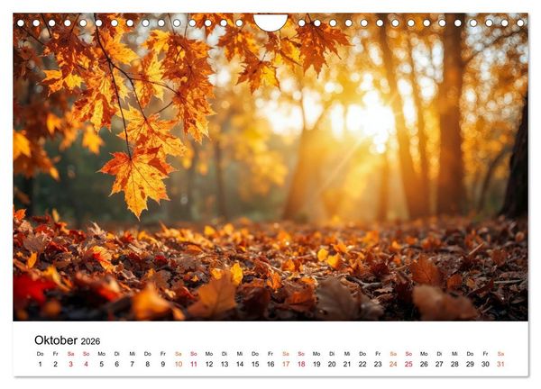 Produktbild: Naturzeit - Ein Jahr im Wandel (Wandkalender 2026 DIN A4 quer), CALVENDO Monatskalender