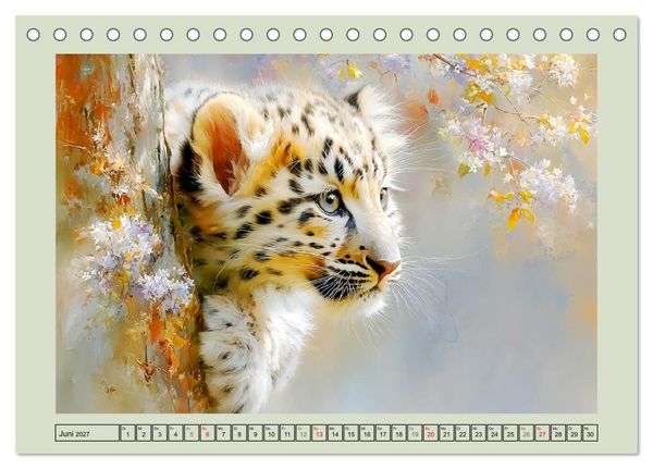 Produktbild: Schneeleoparden. Babys in der leuchtenden Natur (Tischkalender 2027 DIN A5 quer), CALVENDO Monatskalender