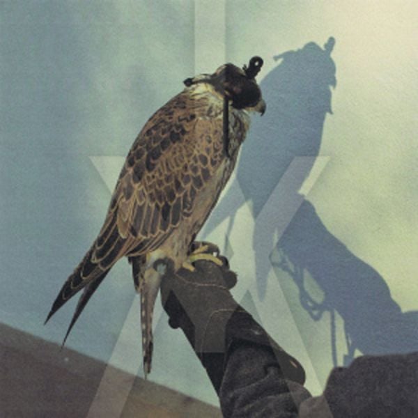 You're Nothing - Iceage, CD