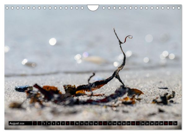 Produktbild: Strandobjekte (Wandkalender 2026 DIN A4 quer), CALVENDO Monatskalender