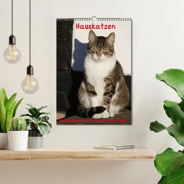 Produktbild: Hauskatzen (Wandkalender 2026 DIN A3 hoch), CALVENDO Monatskalender