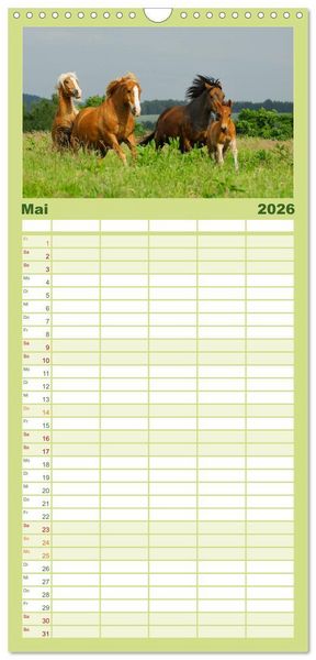 Produktbild: Familienplaner 2026 - Welt der Pferde mit 5 Spalten (Wandkalender, 21 x 45 cm) CALVENDO