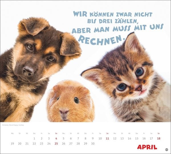 Produktbild: Mach mal Pause Bildkalender 2027