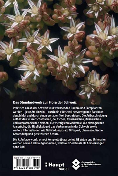Produktbild: Flora Helvetica - Illustrierte Flora der Schweiz