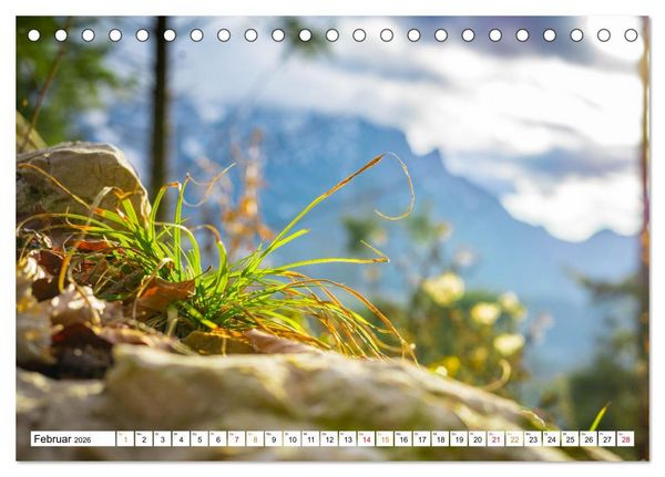 Produktbild: Natur hautnah Kalender (Tischkalender 2026 DIN A5 quer), CALVENDO Monatskalender