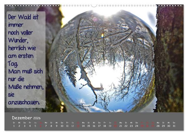 Produktbild: Wunderbare Waldkugeln (hochwertiger Premium Wandkalender 2026 DIN A2 quer), Kunstdruck in Hochglanz