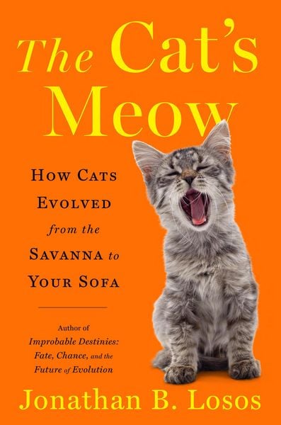 Produktbild: The Cat's Meow