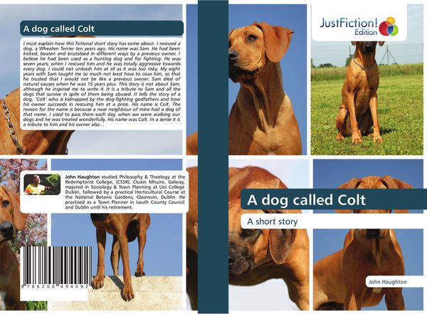Produktbild: A dog called Colt