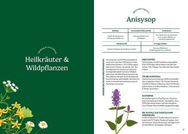 Produktbild: Heilen mit pflanzlichen Antibiotika