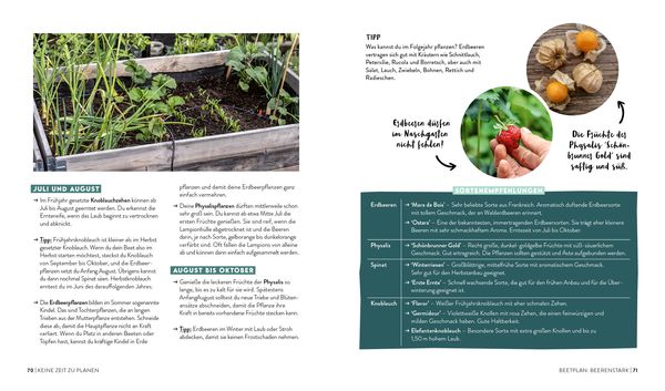 Produktbild: Keine Zeit zu g&auml;rtnern &ndash;&nbsp;Easy planen, pflegen und ernten: Gem&uuml;se, Kr&auml;uter & Beeren