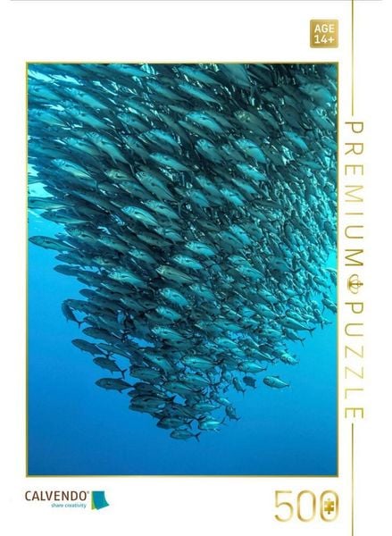 CALVENDO Puzzle Makrelenschwarm - Balicasag Island (Philippinen) | 500 Teile Lege-Größe 48 × 36 cm Foto-Puzzle für Erwachsene