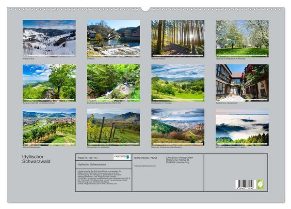 Produktbild: Idyllischer Schwarzwald (Wandkalender 2026 DIN A2 quer), CALVENDO Monatskalender
