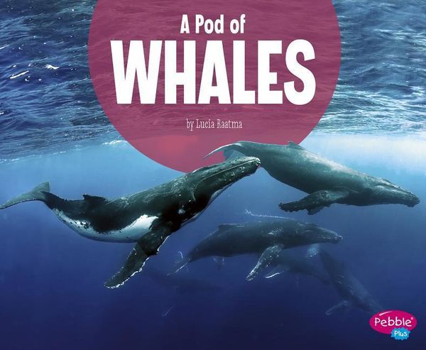 Produktbild: A Pod of Whales