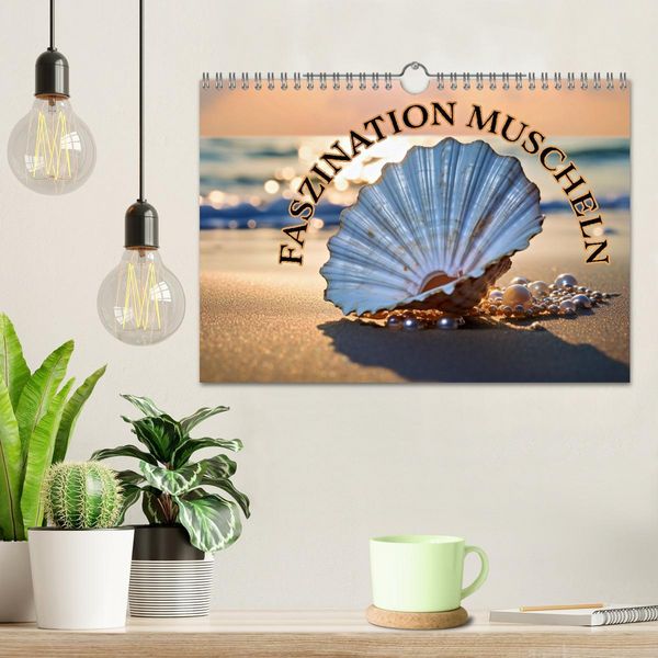 Produktbild: Faszination Muscheln (Wandkalender 2026 DIN A4 quer), CALVENDO Monatskalender