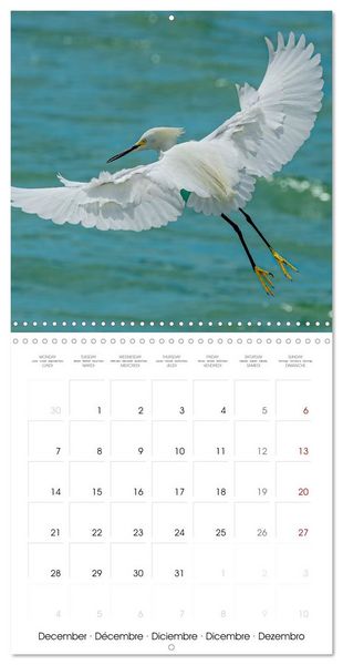 Produktbild: The beauty of herons and egrets (Wall Calendar 2026 12 &times; 12 Inch) CALVENDO 12 Month Wall Calendar