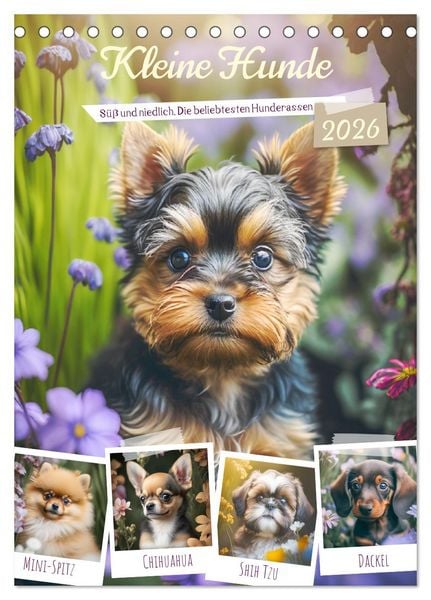 Produktbild: Kleine Hunde. S&uuml;&szlig; und niedlich. Die beliebtesten Hunderassen (Tischkalender 2026 DIN A5 hoch), CALVENDO Monatskalender