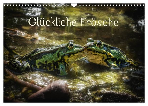 Produktbild: Gl&uuml;ckliche Fr&ouml;sche (Wandkalender 2026 DIN A3 quer), CALVENDO Monatskalender