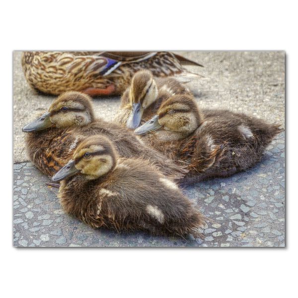 Produktbild: Lais Puzzle Enten 500 Teile
