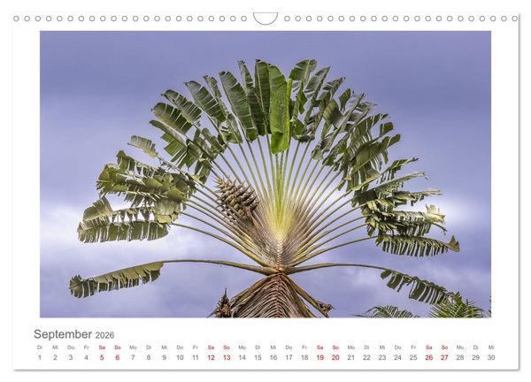 Produktbild: Costa Rica - unterwegs mit Julia Hahn (Wandkalender 2026 DIN A3 quer), CALVENDO Monatskalender