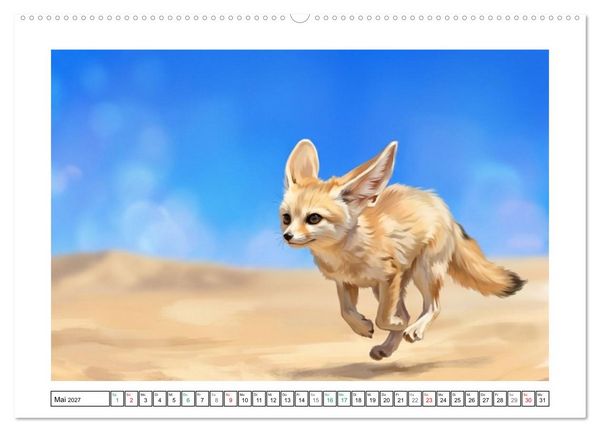 Produktbild: Fenneks - Neugierige Momente in der W&uuml;ste (hochwertiger Premium Wandkalender 2027 DIN A2 quer), Kunstdruck in Hochglanz