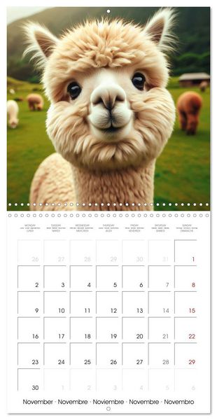 Produktbild: Joie animale - Une ann&eacute;e de sourires et d'&eacute;nergie positive (Calendrier mural carr&eacute; 2026 30x30 cm) Calendrier double avec une page pour vos prises de notes