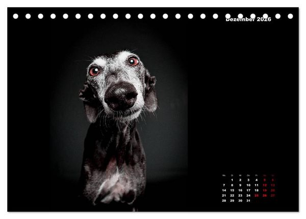 Produktbild: Die Stimme der Windhunde (Tischkalender 2026 DIN A5 quer), CALVENDO Monatskalender
