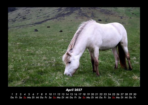 Produktbild: Pferdegefl&uuml;ster 2027 Fotokalender DIN A3