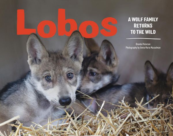 Produktbild: Lobos