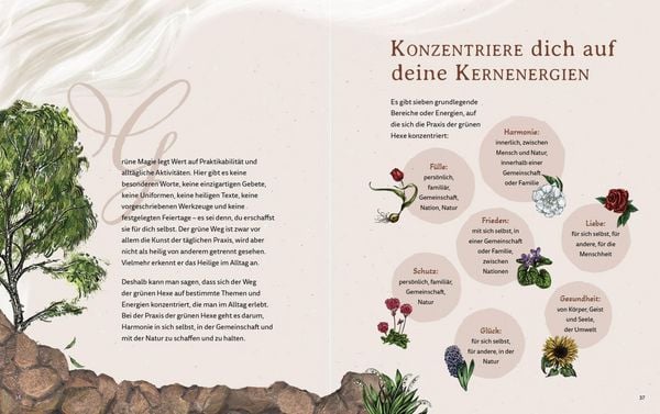 Produktbild: Gr&uuml;ne Magie - eine illustrierte Reise