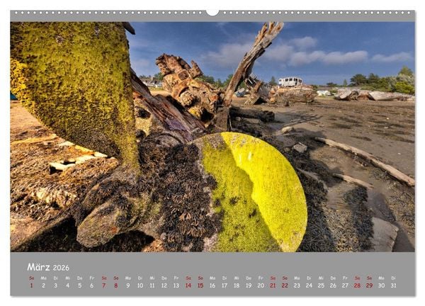 Produktbild: Wracks der Vergangenheit &ndash; Gestrandete Zeugen der Zeit (Wandkalender 2026 DIN A2 quer), CALVENDO Monatskalender