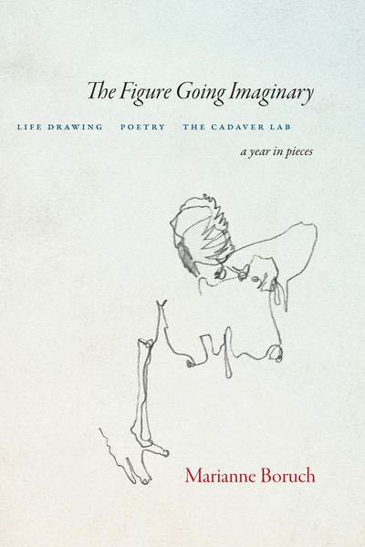 Produktbild: The Figure Going Imaginary