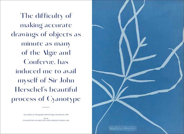 Produktbild: Anna Atkins