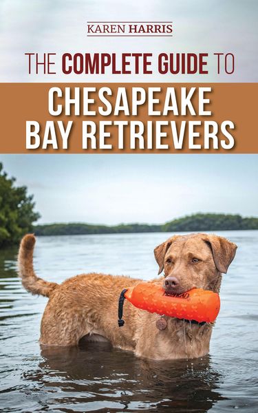Produktbild: The Complete Guide to Chesapeake Bay Retrievers
