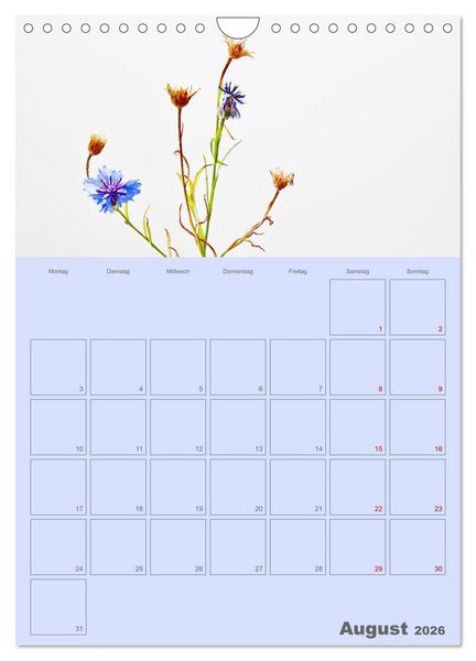 Produktbild: Blumenmetamorphosen (Wandkalender 2026 DIN A4 hoch), CALVENDO Monatskalender