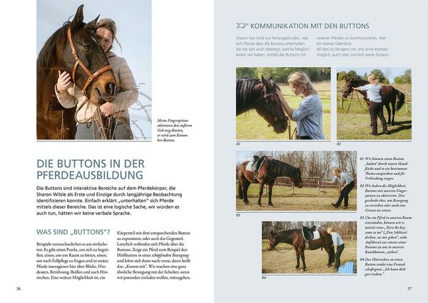 Produktbild: Horse Speak - Die Basis f&uuml;r feines Reiten