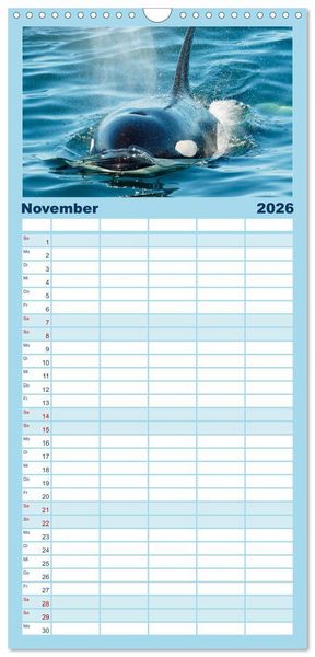 Produktbild: Familienplaner 2026 - Orcas: Schwarz-wei&szlig;e Giganten mit 5 Spalten (Wandkalender, 21 x 45 cm) CALVENDO