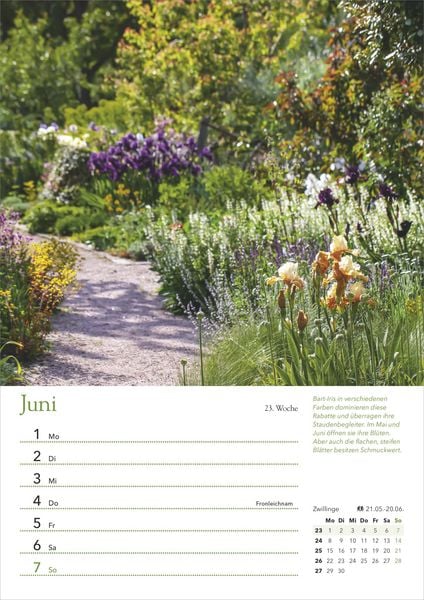 Produktbild: Ein Jahr in meinem Garten – Wochenkalender 2026 – Garten-Kalender mit 53 Blatt – Format 21,0 x 29,7 cm – Spiralbindung