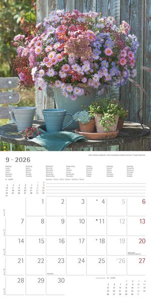 Produktbild: Alpha Edition - Blumenträume 2026 Broschürenkalender, 30x30cm, Wandkalender mit Platz für Notizen und Termine, hochwertige Bildmotive, Mondphasen, Mon