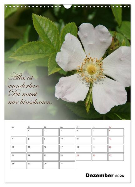 Produktbild: Sch&ouml;ne Spr&uuml;che f&uuml;r Dein ganzes Jahr (Wandkalender 2026 DIN A3 hoch), CALVENDO Monatskalender