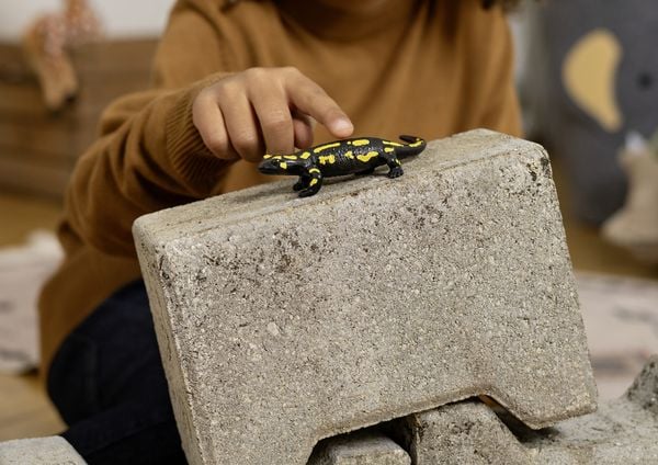 Produktbild: schleich&reg; 14870 Feuersalamander