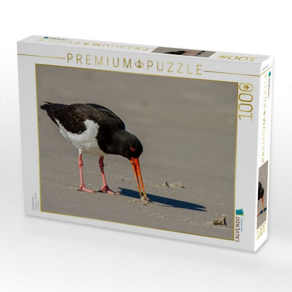 Produktbild: CALVENDO Puzzle Austernfischer | 1000 Teile Lege-Gr&ouml;&szlig;e 64x48cm Foto-Puzzle f&uuml;r gl&uuml;ckliche Stunden