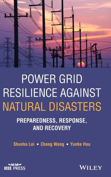 Produktbild: Power Grid Resilience against Natural Disasters