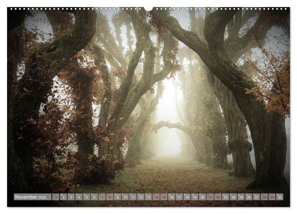 Produktbild: Wundersch&ouml;ne schw&auml;bische Alb (Wandkalender 2026 DIN A2 quer), CALVENDO Monatskalender