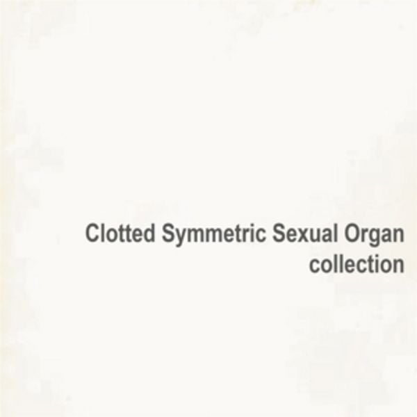Collection (2LP) - CSSO (Clotted Symmetric Sexual Organ), Vinyl