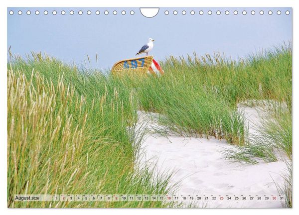Produktbild: Typisch Amrum! (Wandkalender 2026 DIN A4 quer), CALVENDO Monatskalender