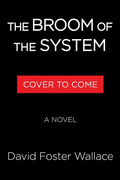 Produktbild: The Broom of the System