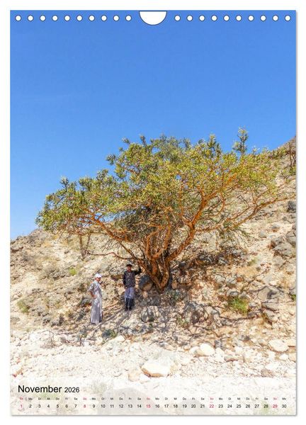 Produktbild: Zauberhafter Oman (Wandkalender 2026 DIN A4 hoch), CALVENDO Monatskalender