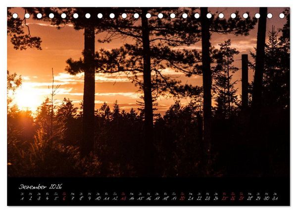 Produktbild: Wald (Tischkalender 2026 DIN A5 quer), CALVENDO Monatskalender