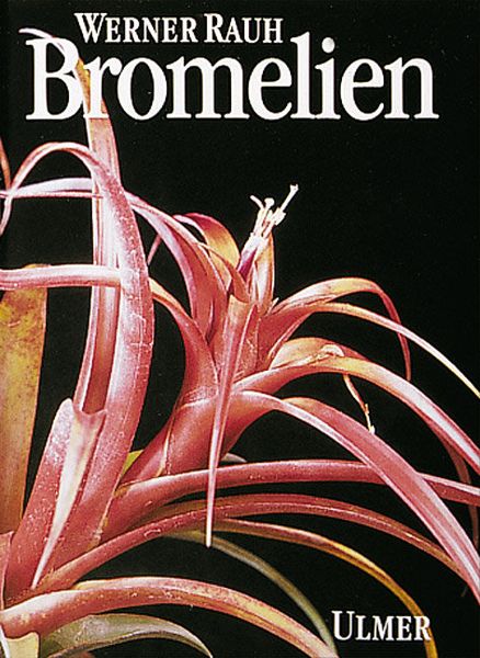 Produktbild: Bromelien